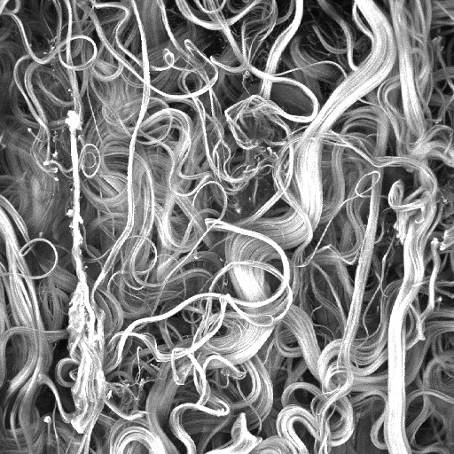 Collagen fibers, original image