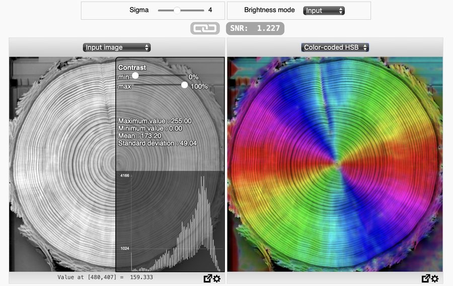 The online demo: the Tree Rings sample and its color survey, side by side