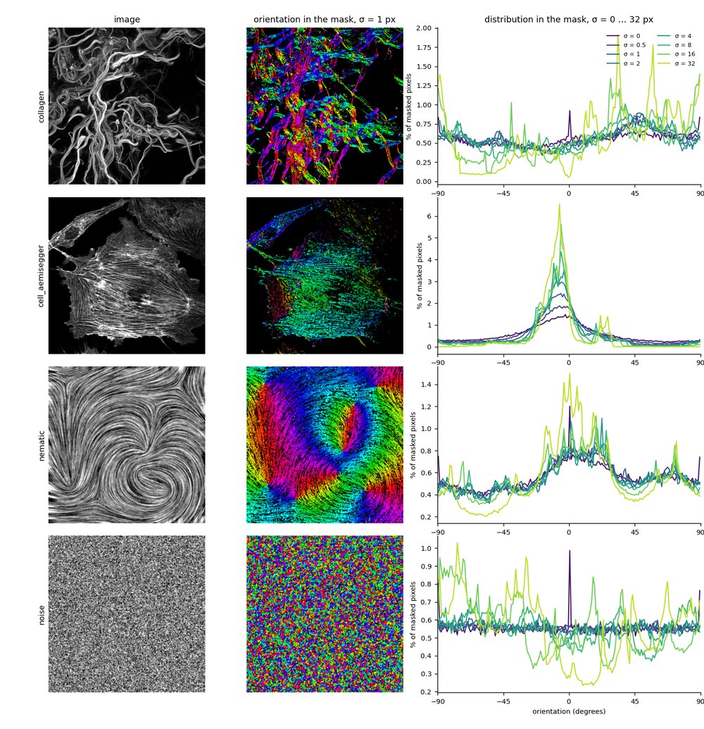 Image, orientation map and orientation distribution at eight scales, for four images