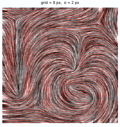 Vector field of collagen while the analysis scale grows